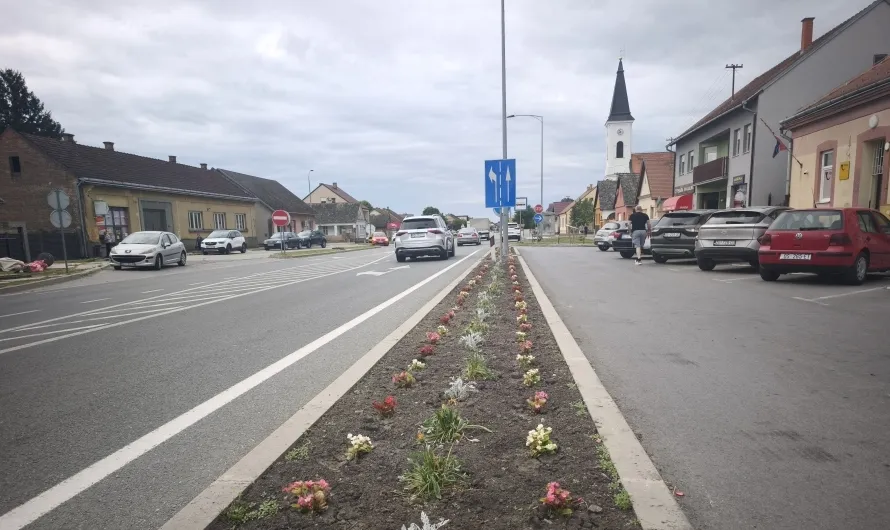 Općina Bizovac uljepšala javne površine sadnjom 2500 cvjetnih sadnica
